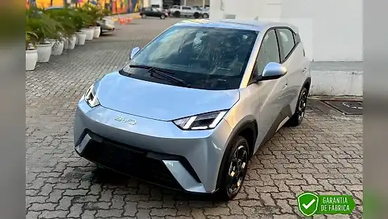 Foto de um byd dolphin