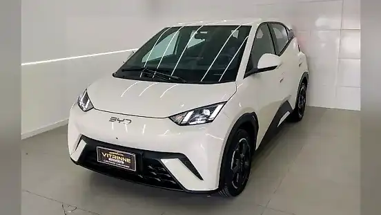 Foto de um byd dolphin mini