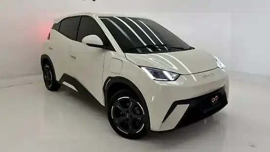 Foto de um byd dolphin mini