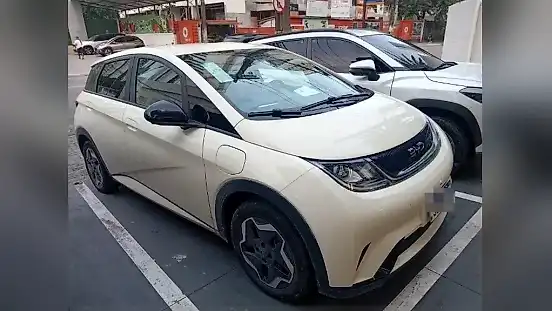 Foto de um byd dolphin