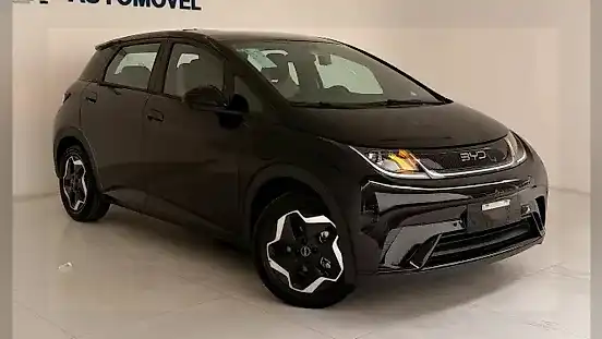 Foto de um byd dolphin