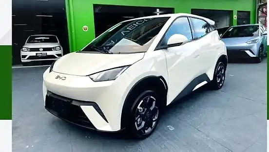 Foto de um byd dolphin mini