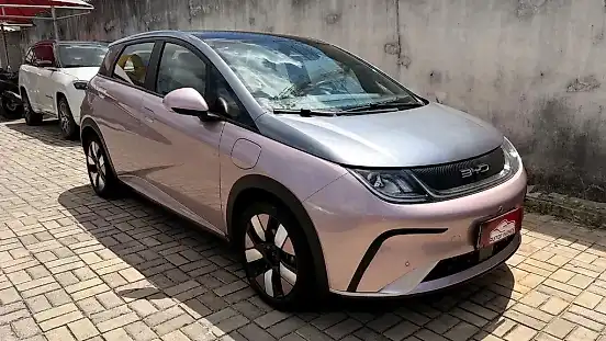 Foto de um byd dolphin plus