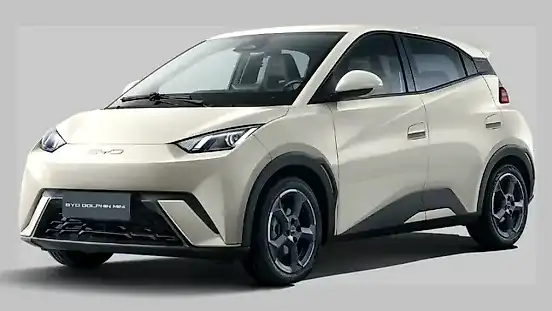 Foto de um byd dolphin