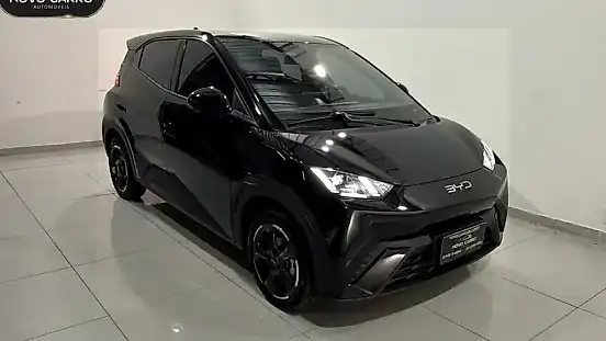 Foto de um byd dolphin