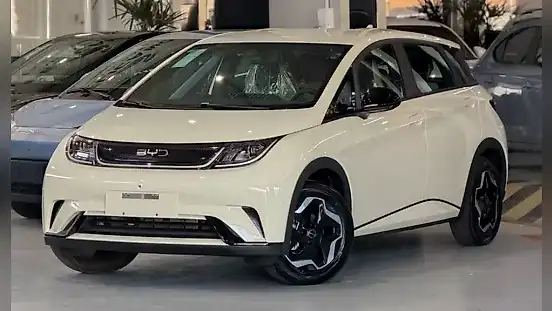 Foto de um byd dolphin