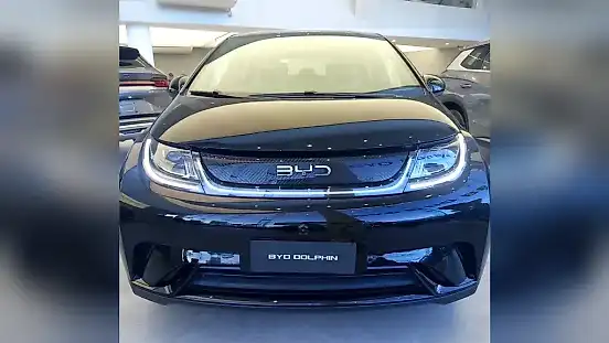 Foto de um byd dolphin