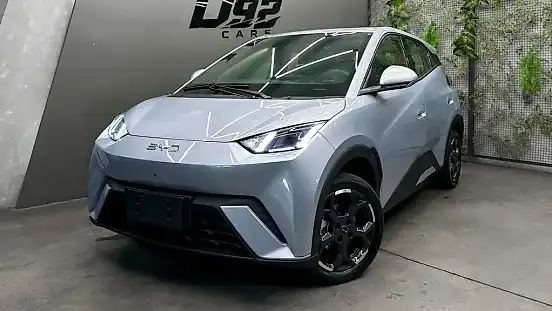 Foto de um byd dolphin