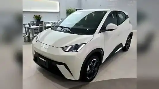 Foto de um byd dolphin
