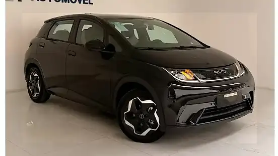 Foto de um byd dolphin