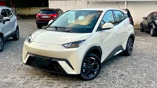 Foto de um byd dolphin mini