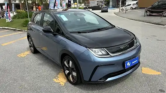 Foto de um byd dolphin plus