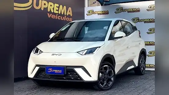 Foto de um byd dolphin