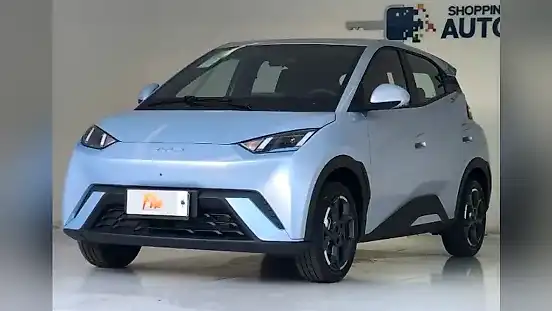 Foto de um byd dolphin