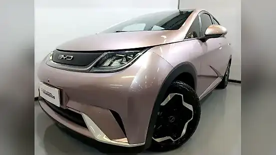 Foto de um byd dolphin