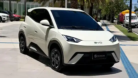 Foto de um byd dolphin mini