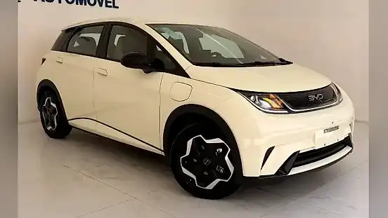 Foto de um byd dolphin