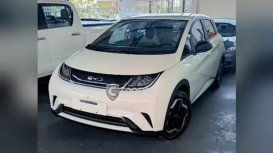 Foto de um byd dolphin