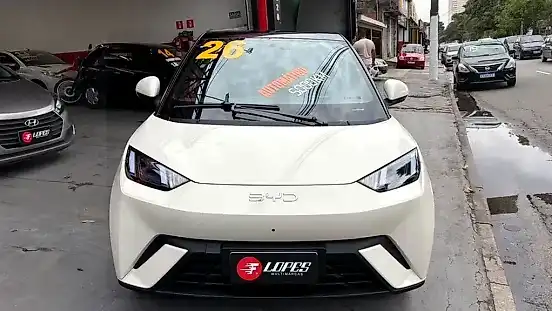 Foto de um byd dolphin