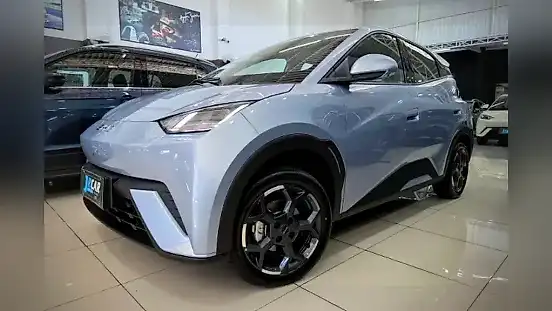 Foto de um byd dolphin