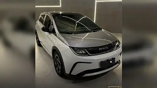 Foto de um byd dolphin plus