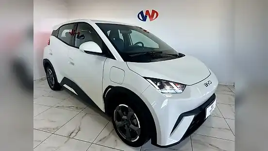 Foto de um byd dolphin