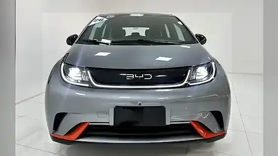 Foto de um byd dolphin