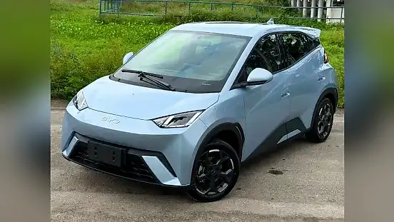Foto de um byd dolphin mini