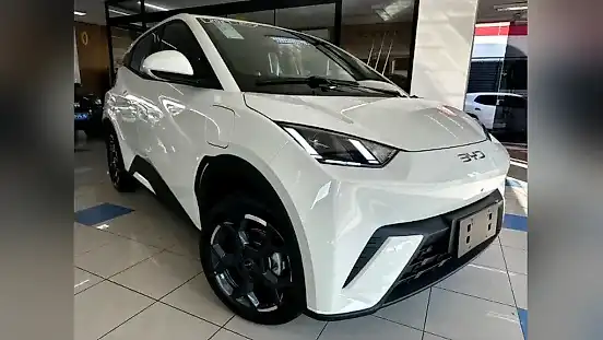 Foto de um byd dolphin