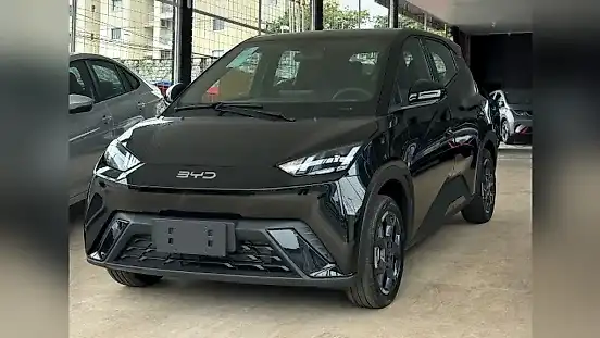 Foto de um byd dolphin mini