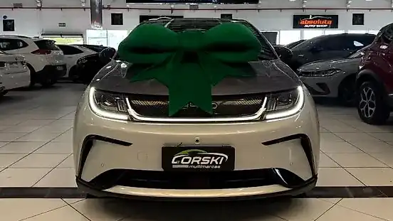 Foto de um byd dolphin plus