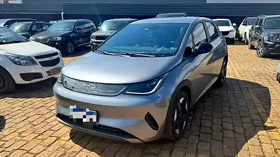 Foto de um byd dolphin special edition