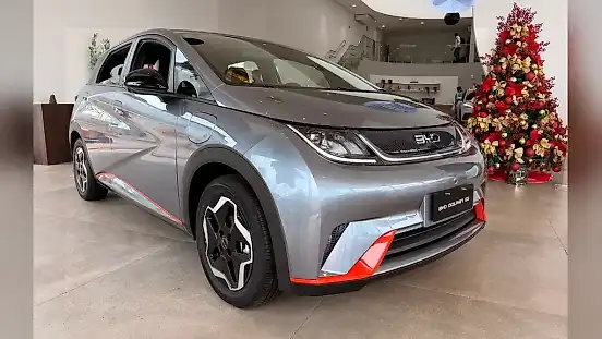 Foto de um byd dolphin