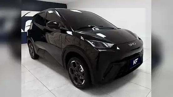 Foto de um byd dolphin mini
