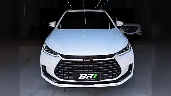 Foto de um byd tan