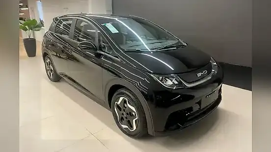 Foto de um byd dolphin