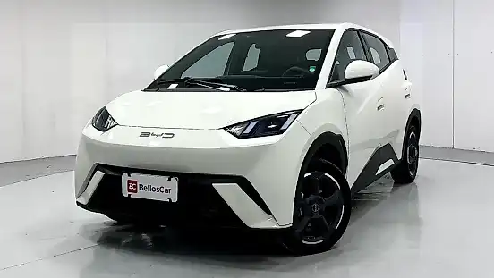 Foto de um byd dolphin