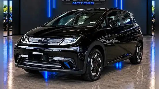 Foto de um byd dolphin