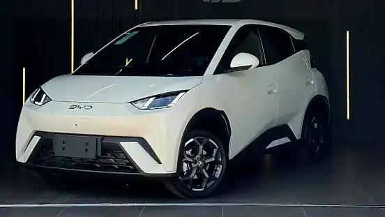 Foto de um byd dolphin