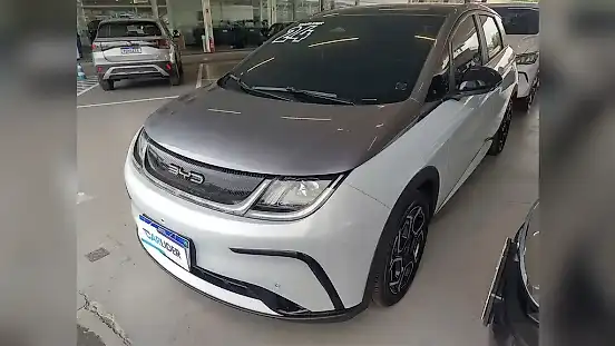 Foto de um byd dolphin plus