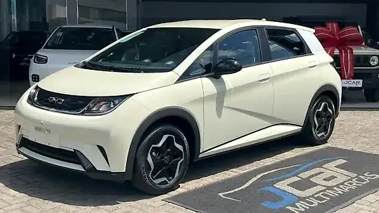 Foto de um byd dolphin