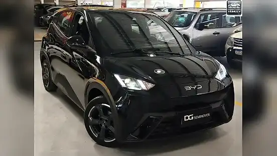 Foto de um byd dolphin