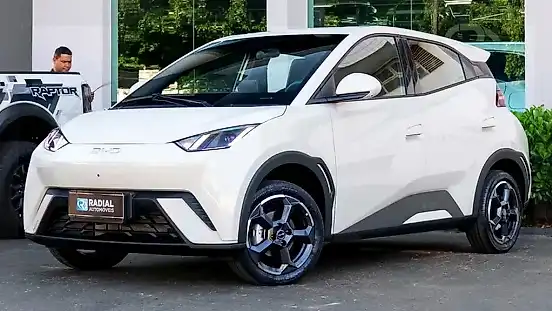 Foto de um byd dolphin