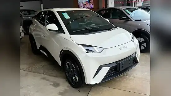 Foto de um byd dolphin