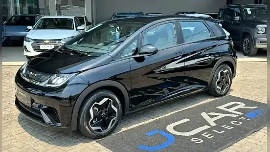 Foto de um byd dolphin