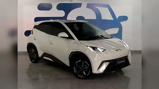 Foto de um byd dolphin