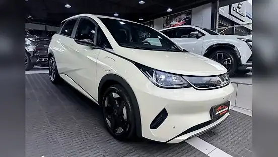 Foto de um byd dolphin