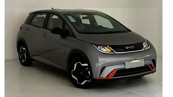 Foto de um byd dolphin