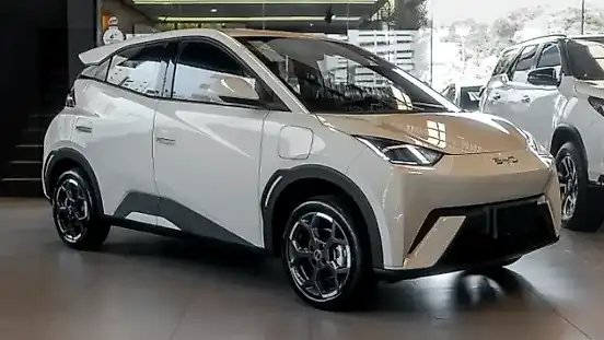 Foto de um byd dolphin mini