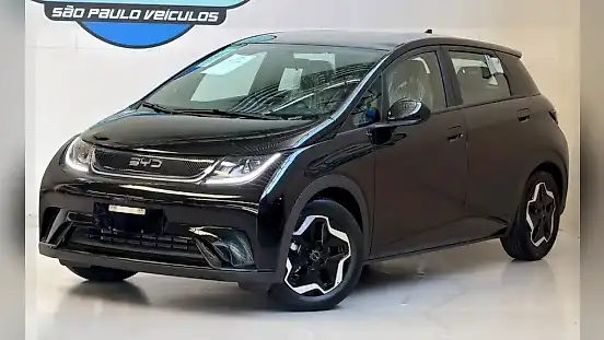 Foto de um byd dolphin